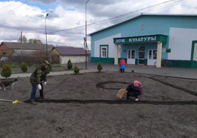 Озеленение территории